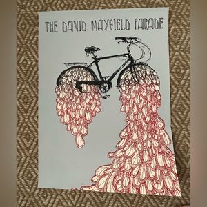 David Mayfield Parade poster